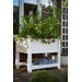 Cambridge Raised Planter in White