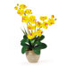Double Phalaenopsis Silk Orchid Arrangement in Yellow