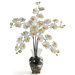 Liquid Illusion Phalaenopsis Silk Orchid Arrangement in Cream
