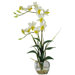 Silk Dendobrium Arrangement with Glass Vase in Cream