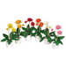 Gerber Daisy Flower with White Vase (Set of 6)