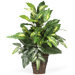 Silk Mixed Greens Plant with Wicker in Green