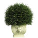 Potted Grass Plant with White Vase