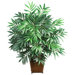 Silk Bamboo Palm Plant with Wicker Basket in Green