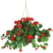 Red Silk Geranium Plant with Hanging Basket