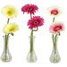 Gerber Daisy in Cream / Pink / Burgundy with Bud Vase (Set of 3)