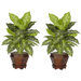 Dieffenbachia in Variegated with Wood Vase Silk Plant (Set of 2)