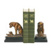 Turtle Under Study Bookend (Set of 2)