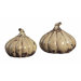 Ceramic Squash in Alto Cream (Set of 2)