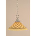 9.5" 1 Light Downlight Pendant