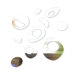 Orblet Wall Art in Clear (Set of 10)