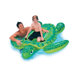 Sea Turtle Ride-On