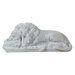 Animals Sleeping Lion Statue