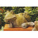 Animals Gossip Frog Statue