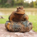 Animals Frog Prince Statue