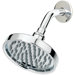 Shower Head 60-90010