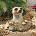 Kalahari Meerkat Out of Hole Statue