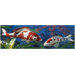 Japanese Floating Koi Sculpture Collection