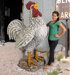 Cock-a-doodle-do, Giant Roadside Rooster Statue