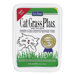 Cat Grass Plus Catnip Seeds