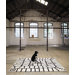 Black On White Limbo Rug