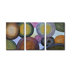 Radiance Essence Canvas Art (Set of 3)