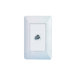 AnyPort Single Video Outlet Kit