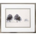 Winter Trees II Framed Photograph