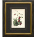 Strawberries Framed Print