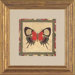 Crackled Butterfly III Framed Print