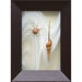 Tibia & Sundial Shadow Box