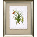 Exotic Flora III Framed Print
