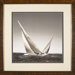 Crossing Tack 1 Framed Print