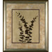 Platinum Shadow 1 Framed Print