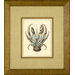 Blue Crab Framed Print