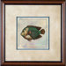 Tropical Fish 2 Framed Print - 21"x 21"