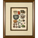 Minerals 1 Framed Print