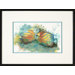 Angel Fish 4 Framed Print