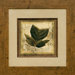 Rustic Leaves 3 (Oak) Framed Print