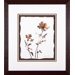 Wildflowers 3 Framed Print