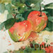 Apple on Canvas Framed Print