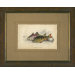 Bass Framed Print - 25"x 20"
