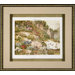 Alpine Plants Framed Print