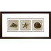 Salt Framed Print
