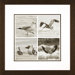 Bird Quartet Framed Print