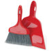 Dust Pan with Whisk Broom
