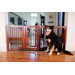 Configurable 360 Z-Fold Pet Gate in Walnut