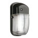 1 Light Outdoor Mini Wall Pack