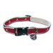 NCAA Dog Collar