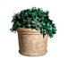 Milan 30" Round Pot Planter